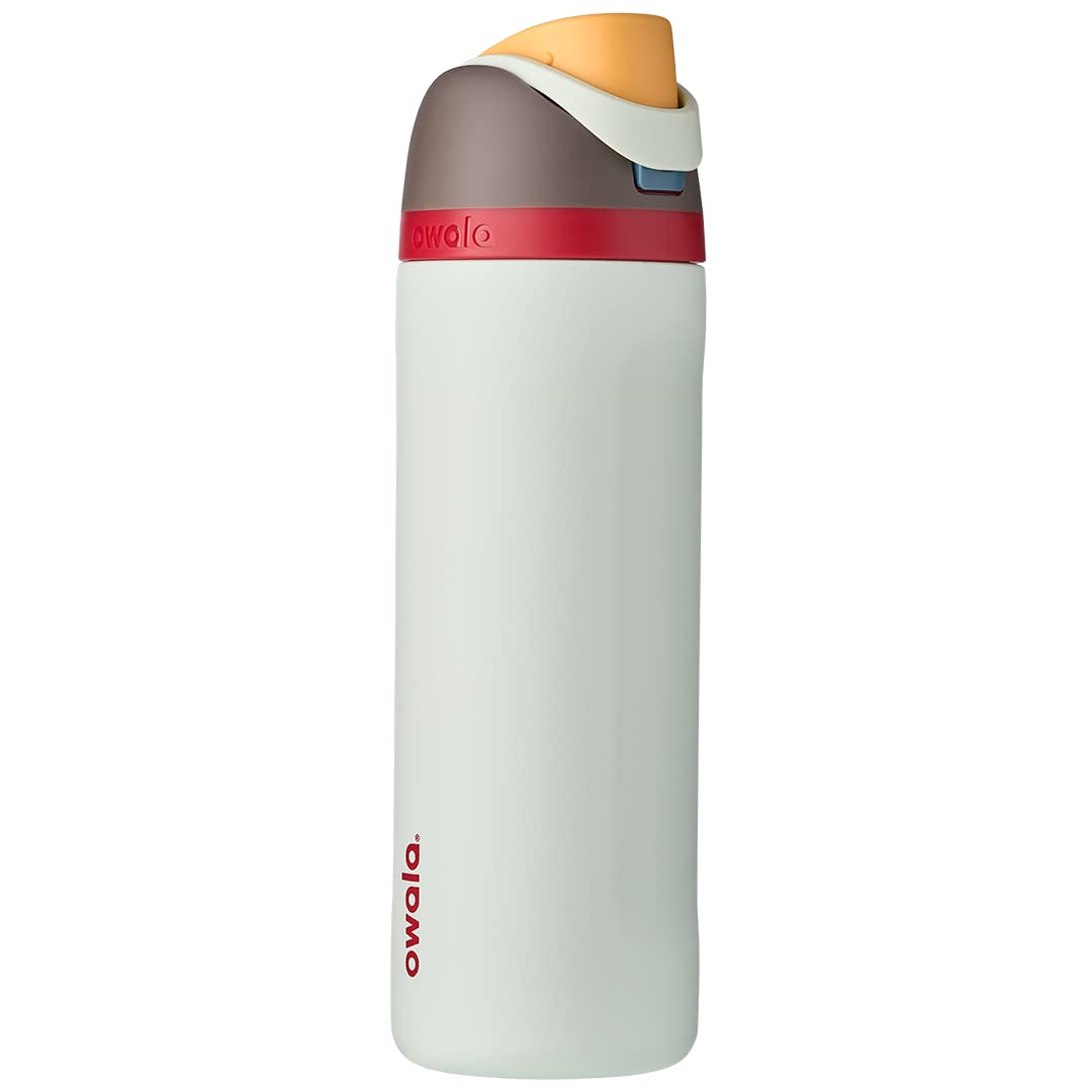 Insulated Stainless Steel Water Bottle with Straw for Kids